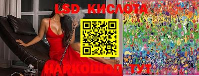 PSILOCYBIN Кингисепп