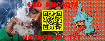 PSILOCYBIN Кингисепп