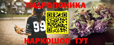 PSILOCYBIN Кингисепп